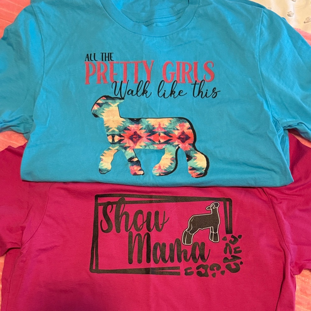 Bella Canvas' Tees in Blue and Pink